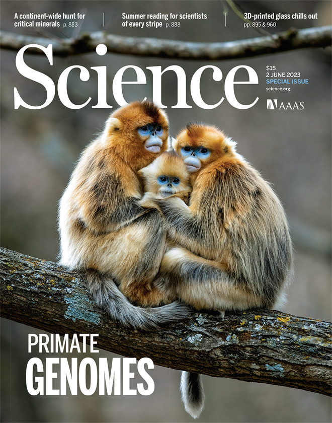 Science封面文章:乐竞体育电竞(中国)股份有限公司官网金丝猴研究团队首次系统揭示灵长类社会演化之谜_fororder_《自然》封面.JPG